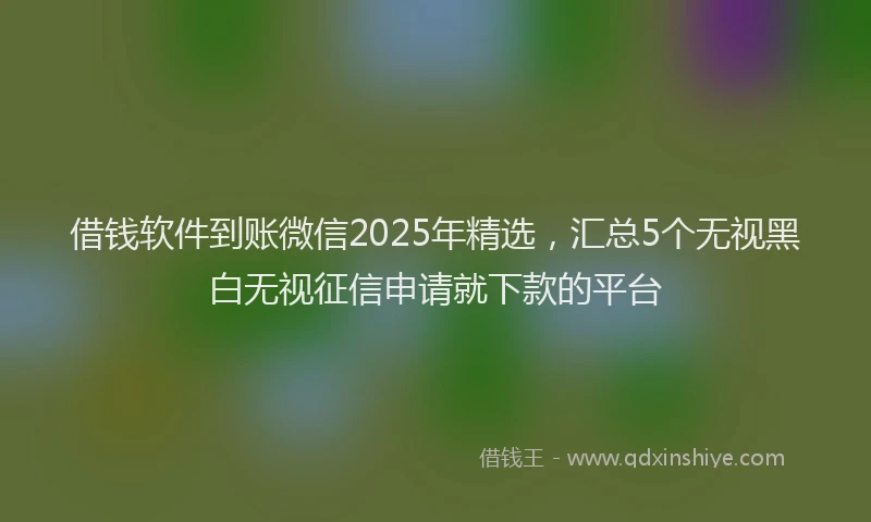 借钱软件到账微信2025年精选，汇总5个无视黑白无视征信申请就下款的平台