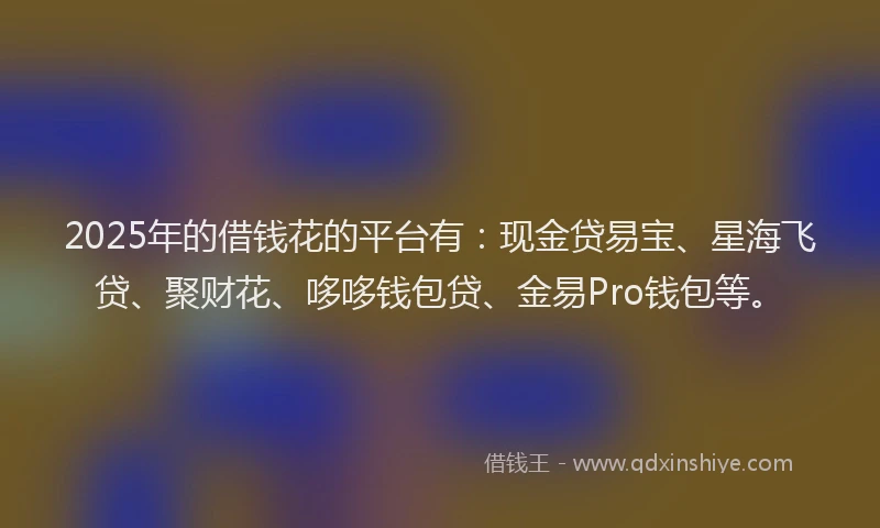 2025年的借钱花的平台有：现金贷易宝、星海飞贷、聚财花、哆哆钱包贷、金易Pro钱包等。