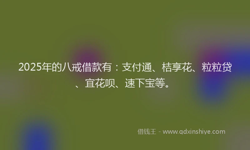 2025年的八戒借款有：支付通、桔享花、粒粒贷、宜花呗、速下宝等。