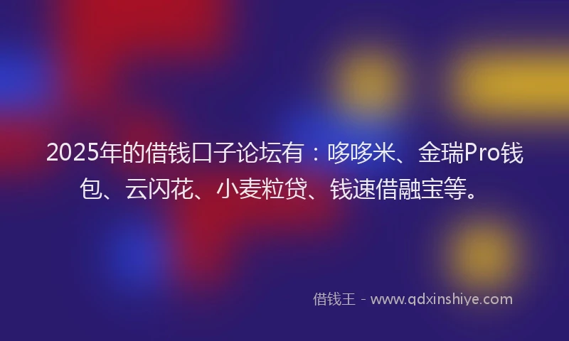 2025年的借钱口子论坛有：哆哆米、金瑞Pro钱包、云闪花、小麦粒贷、钱速借融宝等。