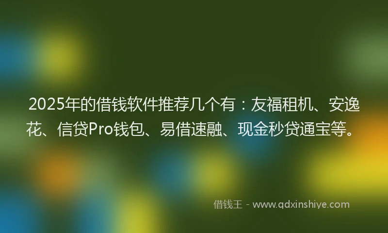 2025年的借钱软件推荐几个有：友福租机、安逸花、信贷Pro钱包、易借速融、现金秒贷通宝等。