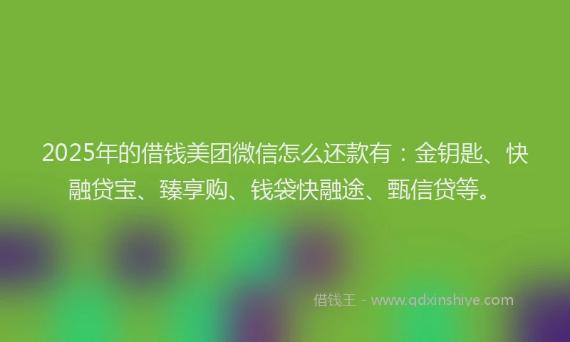 2025年的借钱美团微信怎么还款有：金钥匙、快融贷宝、臻享购、钱袋快融途、甄信贷等。