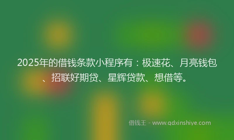 2025年的借钱条款小程序有：极速花、月亮钱包、招联好期贷、星辉贷款、想借等。