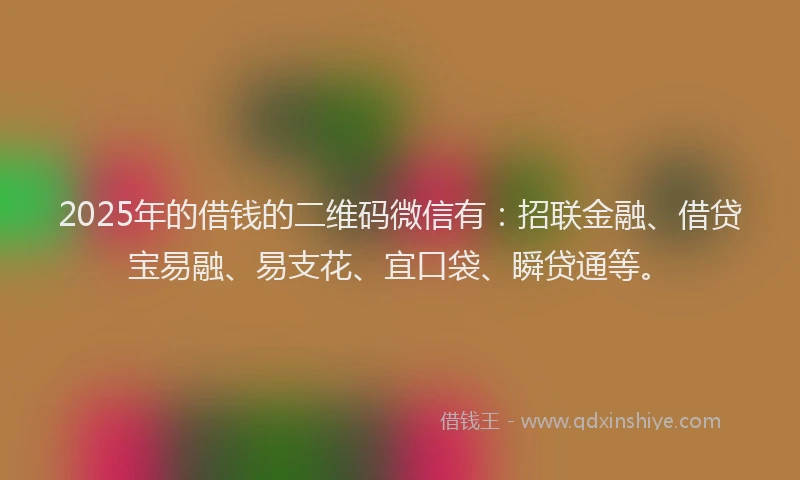 2025年的借钱的二维码微信有：招联金融、借贷宝易融、易支花、宜口袋、瞬贷通等。