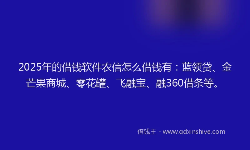2025年的借钱软件农信怎么借钱有：蓝领贷、金芒果商城、零花罐、飞融宝、融360借条等。