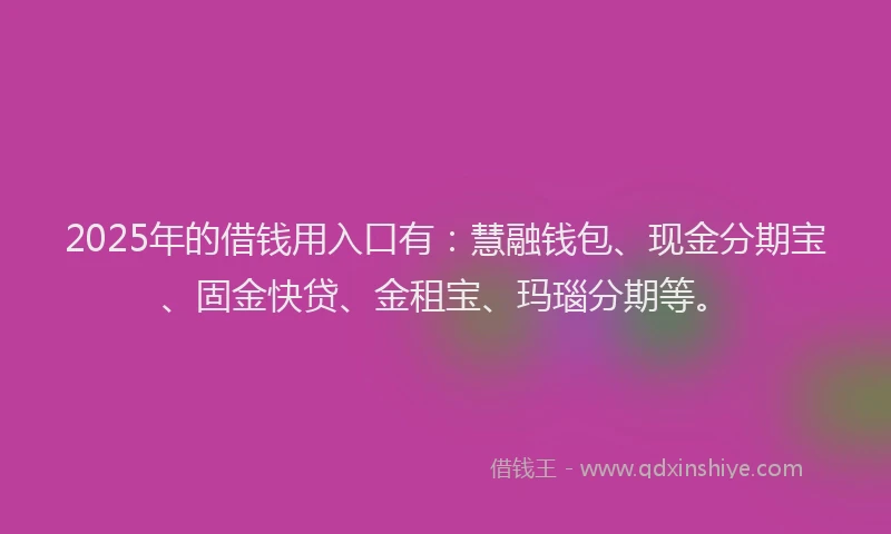 2025年的借钱用入口有：慧融钱包、现金分期宝、固金快贷、金租宝、玛瑙分期等。