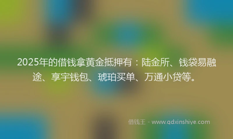 2025年的借钱拿黄金抵押有：陆金所、钱袋易融途、享宇钱包、琥珀买单、万通小贷等。