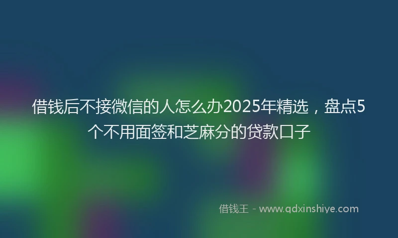 借钱后不接微信的人怎么办2025年精选，盘点5个不用面签和芝麻分的贷款口子