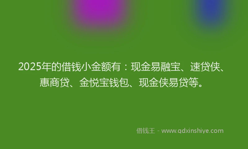 2025年的借钱小金额有：现金易融宝、速贷侠、惠商贷、金悦宝钱包、现金侠易贷等。