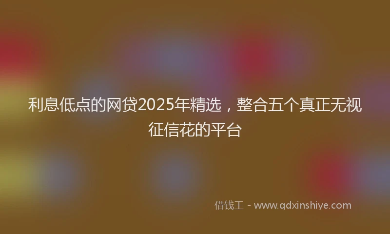 利息低点的网贷2025年精选，整合五个真正无视征信花的平台