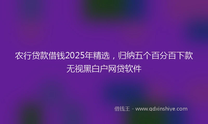 农行贷款借钱2025年精选，归纳五个百分百下款无视黑白户网贷软件