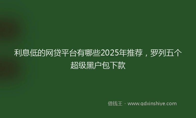 利息低的网贷平台有哪些2025年推荐，罗列五个超级黑户包下款