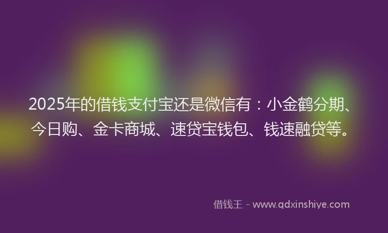 2025年的借钱支付宝还是微信有：小金鹤分期、今日购、金卡商城、速贷宝钱包、钱速融贷等。