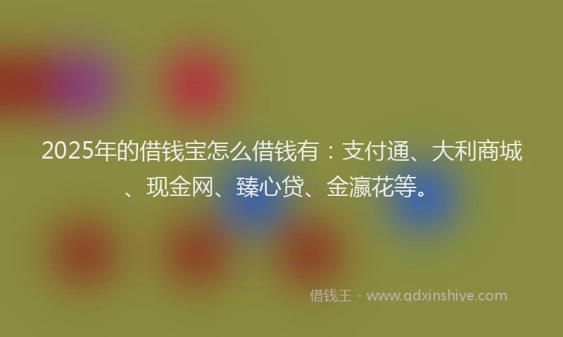 2025年的借钱宝怎么借钱有：支付通、大利商城、现金网、臻心贷、金瀛花等。