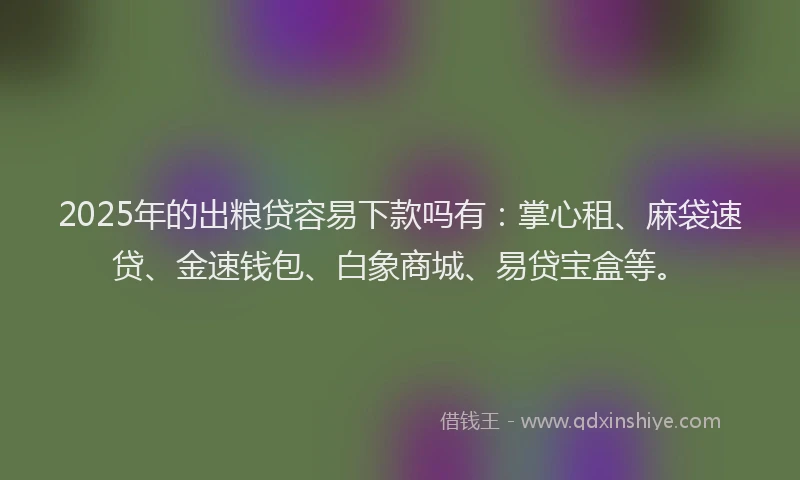 2025年的出粮贷容易下款吗有：掌心租、麻袋速贷、金速钱包、白象商城、易贷宝盒等。