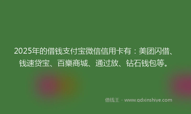2025年的借钱支付宝微信信用卡有：美团闪借、钱速贷宝、百樂商城、通过放、钻石钱包等。