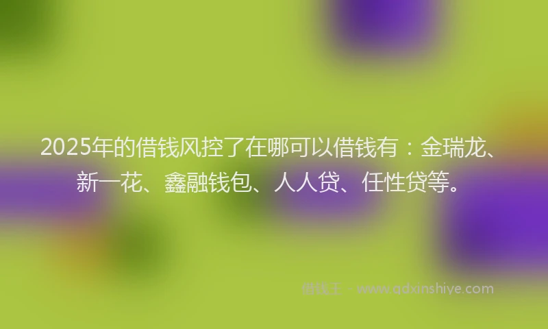 2025年的借钱风控了在哪可以借钱有：金瑞龙、新一花、鑫融钱包、人人贷、任性贷等。