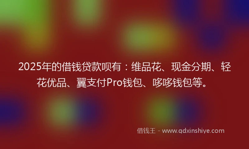 2025年的借钱贷款呗有：维品花、现金分期、轻花优品、翼支付Pro钱包、哆哆钱包等。