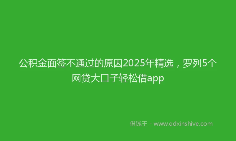 公积金面签不通过的原因2025年精选，罗列5个网贷大口子轻松借app