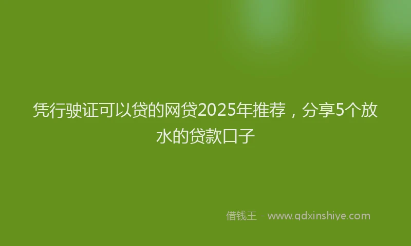 凭行驶证可以贷的网贷2025年推荐，分享5个放水的贷款口子