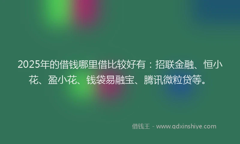 2025年的借钱哪里借比较好有：招联金融、恒小花、盈小花、钱袋易融宝、腾讯微粒贷等。