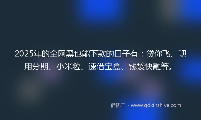 2025年的全网黑也能下款的口子有：贷你飞、现用分期、小米粒、速借宝盒、钱袋快融等。