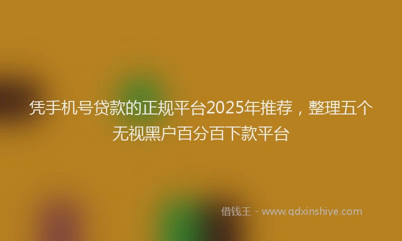 凭手机号贷款的正规平台2025年推荐，整理五个无视黑户百分百下款平台