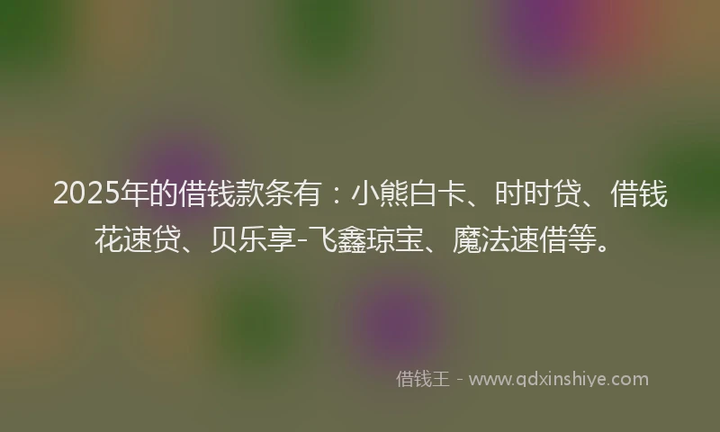 2025年的借钱款条有：小熊白卡、时时贷、借钱花速贷、贝乐享-飞鑫琼宝、魔法速借等。