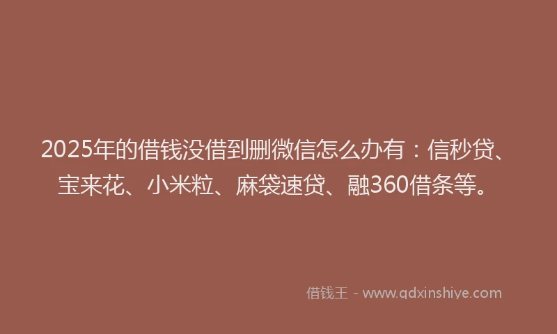2025年的借钱没借到删微信怎么办有：信秒贷、宝来花、小米粒、麻袋速贷、融360借条等。