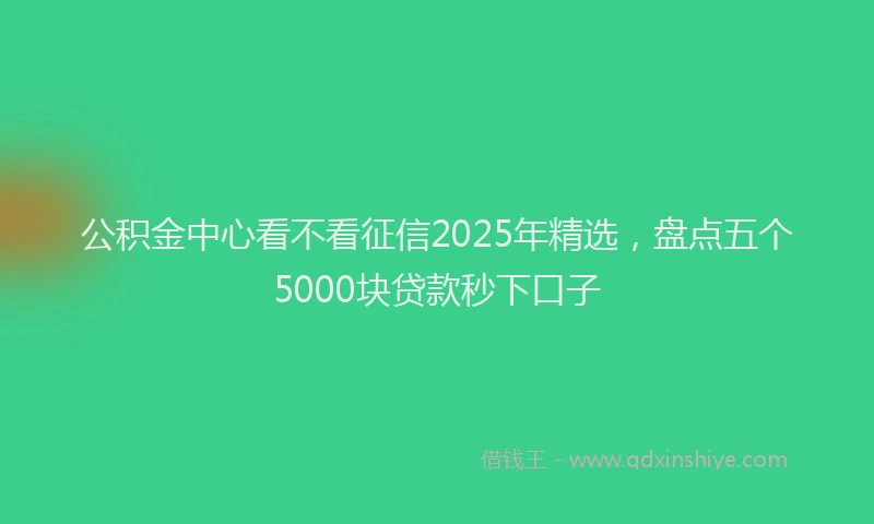 公积金中心看不看征信2025年精选，盘点五个5000块贷款秒下口子