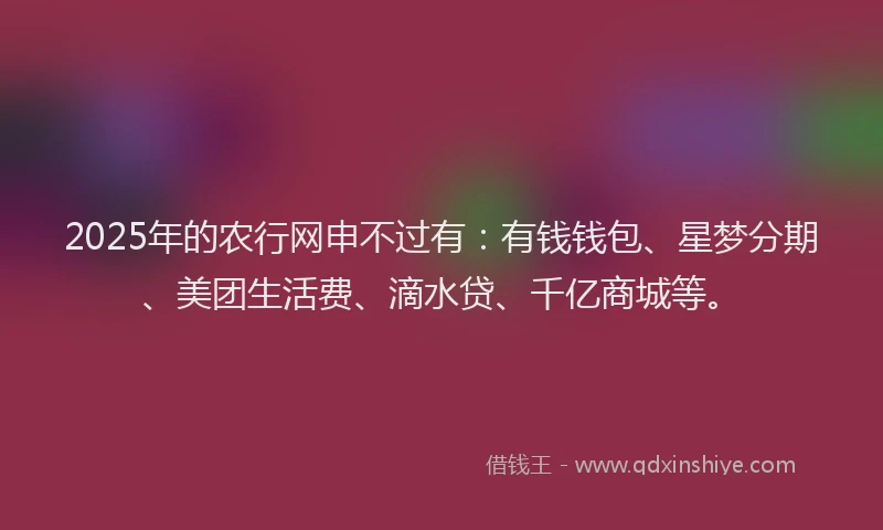 2025年的农行网申不过有：有钱钱包、星梦分期、美团生活费、滴水贷、千亿商城等。