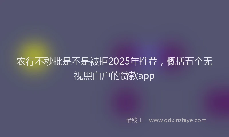 农行不秒批是不是被拒2025年推荐，概括五个无视黑白户的贷款app