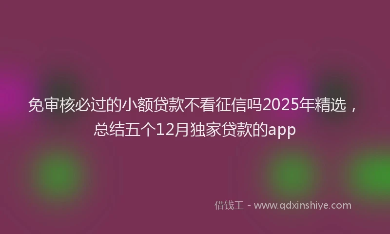 免审核必过的小额贷款不看征信吗2025年精选，总结五个12月独家贷款的app