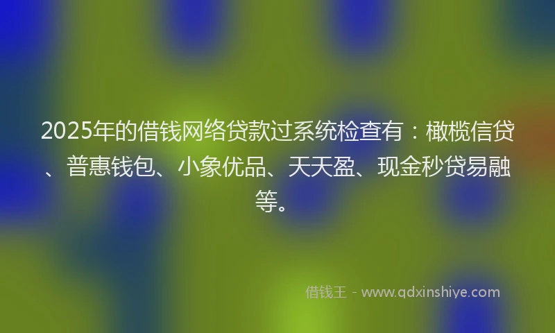 2025年的借钱网络贷款过系统检查有：橄榄信贷、普惠钱包、小象优品、天天盈、现金秒贷易融等。