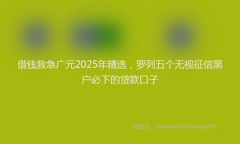 借钱救急广元2025年精选，罗列五个无视征信黑户必下的贷款口子