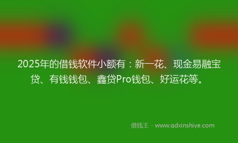 2025年的借钱软件小额有：新一花、现金易融宝贷、有钱钱包、鑫贷Pro钱包、好运花等。