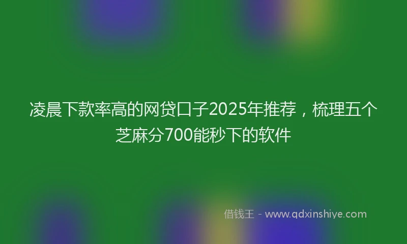 凌晨下款率高的网贷口子2025年推荐，梳理五个芝麻分700能秒下的软件
