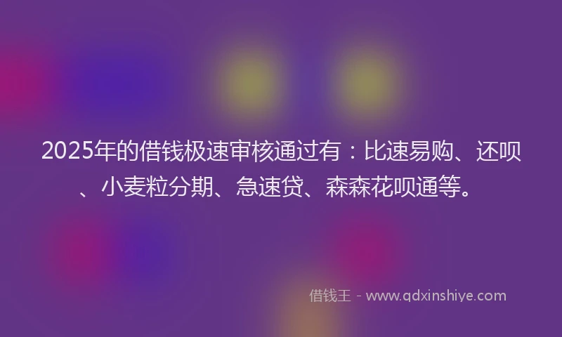 2025年的借钱极速审核通过有：比速易购、还呗、小麦粒分期、急速贷、森森花呗通等。
