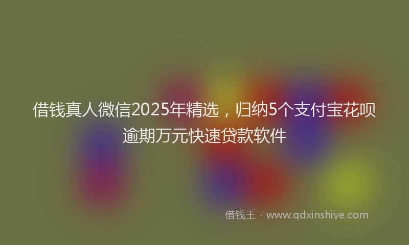 借钱真人微信2025年精选，归纳5个支付宝花呗逾期万元快速贷款软件