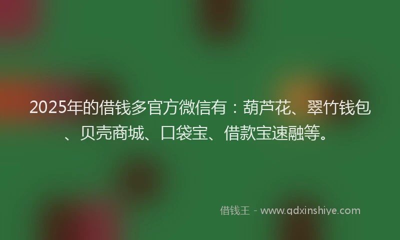 2025年的借钱多官方微信有：葫芦花、翠竹钱包、贝壳商城、口袋宝、借款宝速融等。
