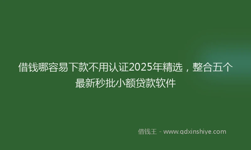 借钱哪容易下款不用认证2025年精选，整合五个最新秒批小额贷款软件