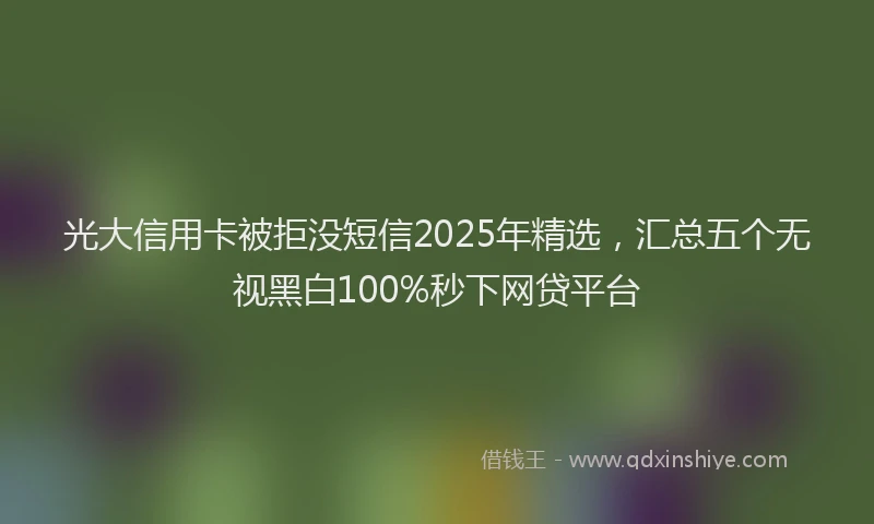 光大信用卡被拒没短信2025年精选，汇总五个无视黑白100%秒下网贷平台