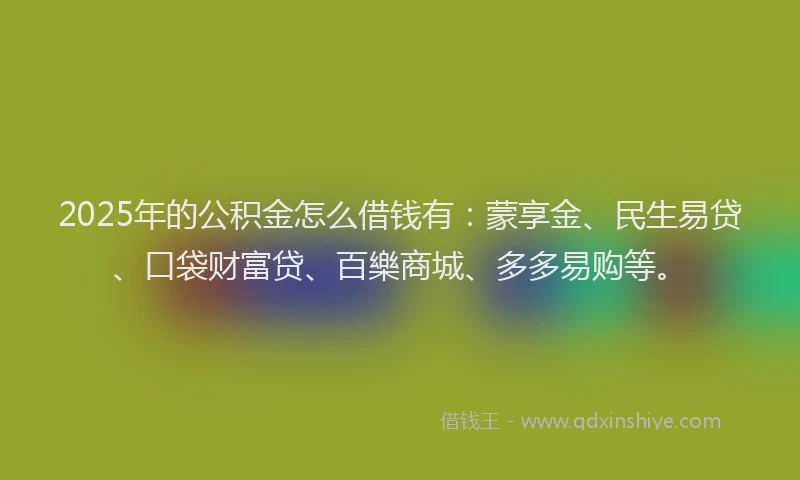 2025年的公积金怎么借钱有：蒙享金、民生易贷、口袋财富贷、百樂商城、多多易购等。