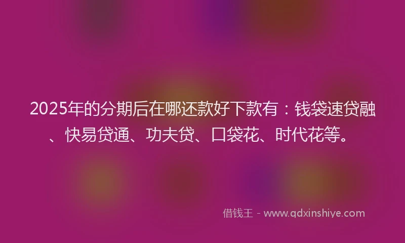 2025年的分期后在哪还款好下款有：钱袋速贷融、快易贷通、功夫贷、口袋花、时代花等。