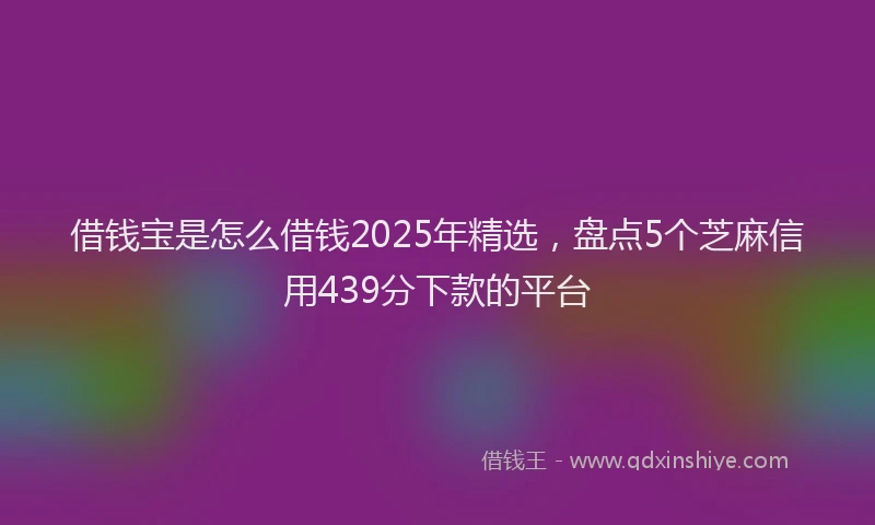 借钱宝是怎么借钱2025年精选，盘点5个芝麻信用439分下款的平台