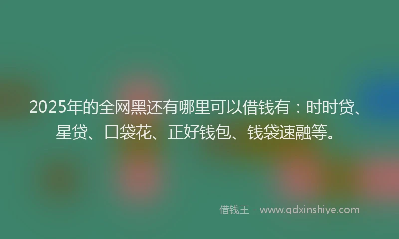 2025年的全网黑还有哪里可以借钱有：时时贷、星贷、口袋花、正好钱包、钱袋速融等。