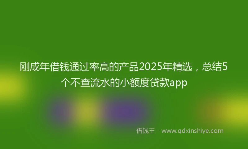 刚成年借钱通过率高的产品2025年精选，总结5个不查流水的小额度贷款app