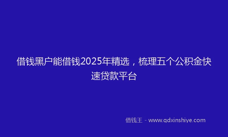 借钱黑户能借钱2025年精选，梳理五个公积金快速贷款平台