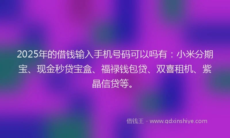 2025年的借钱输入手机号码可以吗有：小米分期宝、现金秒贷宝盒、福禄钱包贷、双喜租机、紫晶信贷等。