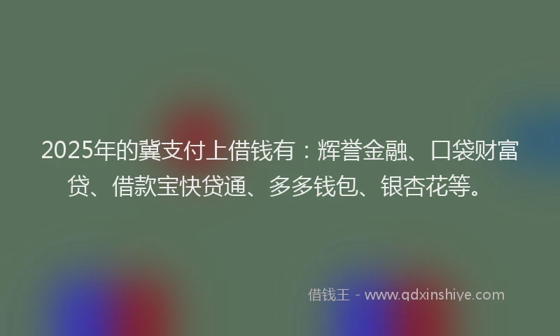 2025年的冀支付上借钱有：辉誉金融、口袋财富贷、借款宝快贷通、多多钱包、银杏花等。